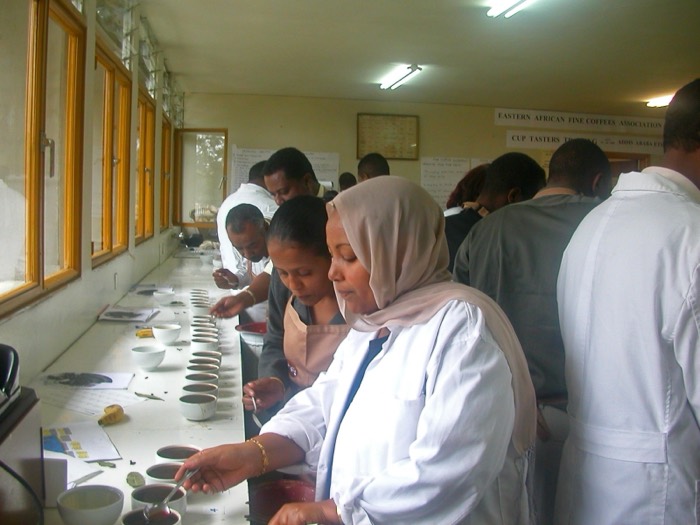 Cuppers evaluating Ethiopian coffee at a training lab in Addis Ababa.