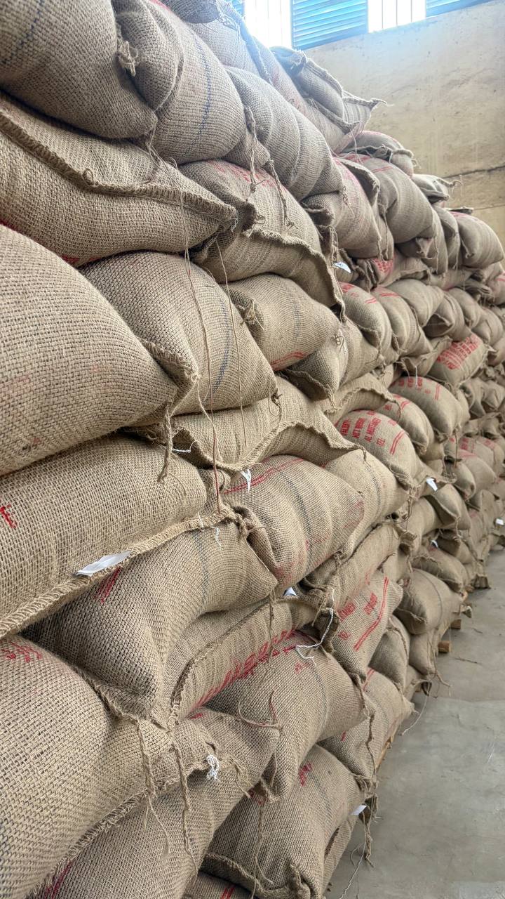 Burlap coffee bags stacked inside a GMT Industrial PLC storage facility.